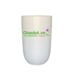 chautot6a