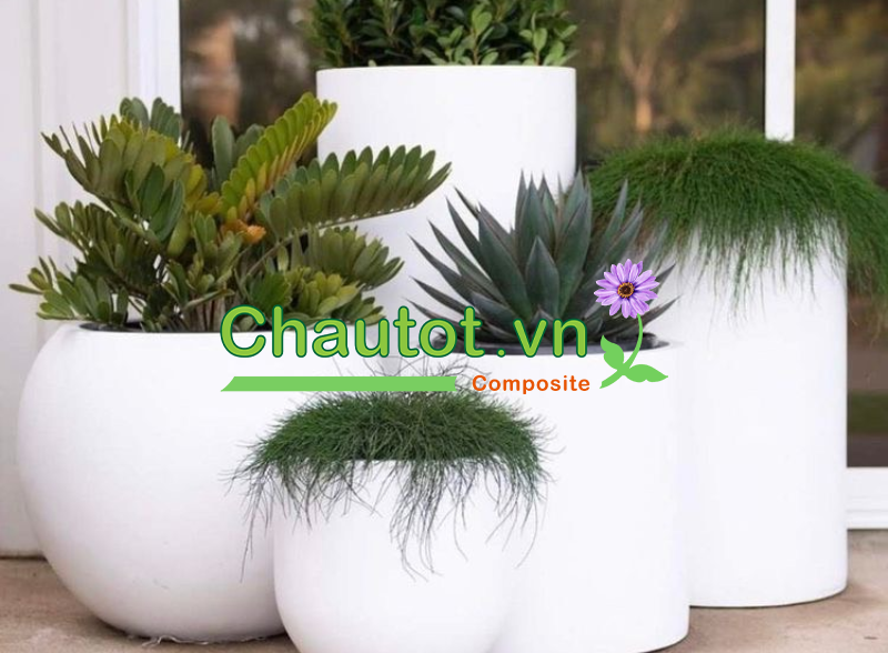 Top 5 địa điểm bán chậu nhựa composite cao cấp, giá rẻ