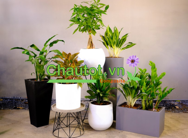 [Chỉ 1 phút] Chậu Composite: Sự Lựa Chọn Hoàn Hảo Cho Cây Xanh