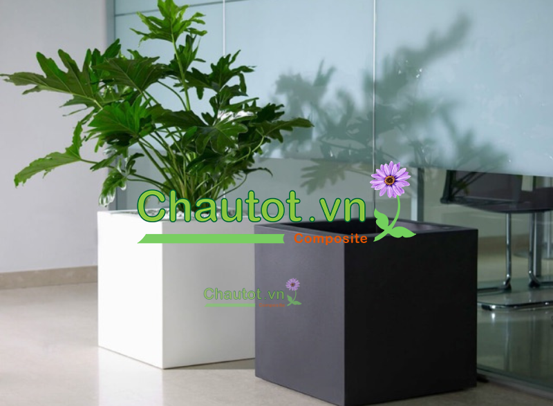 Chậu Composite: Sự Lựa Chọn Hoàn Hảo Cho Cây Xanh