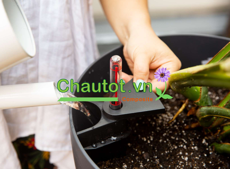 Chậu composite tự tưới cây- 04 lợi ích bạn cần biết